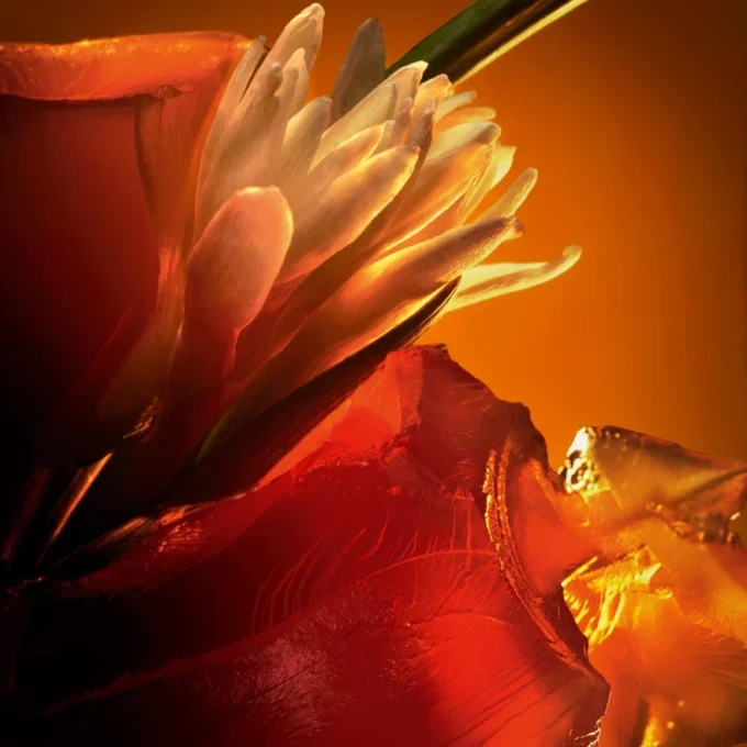 Ambre Fatiche – Eau De Parfum 80Ml Ambre Fatiche – Eau De Parfum 80Ml