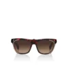 Our Georges Lb0006 – Sunglasses – Acetate – Red Havana